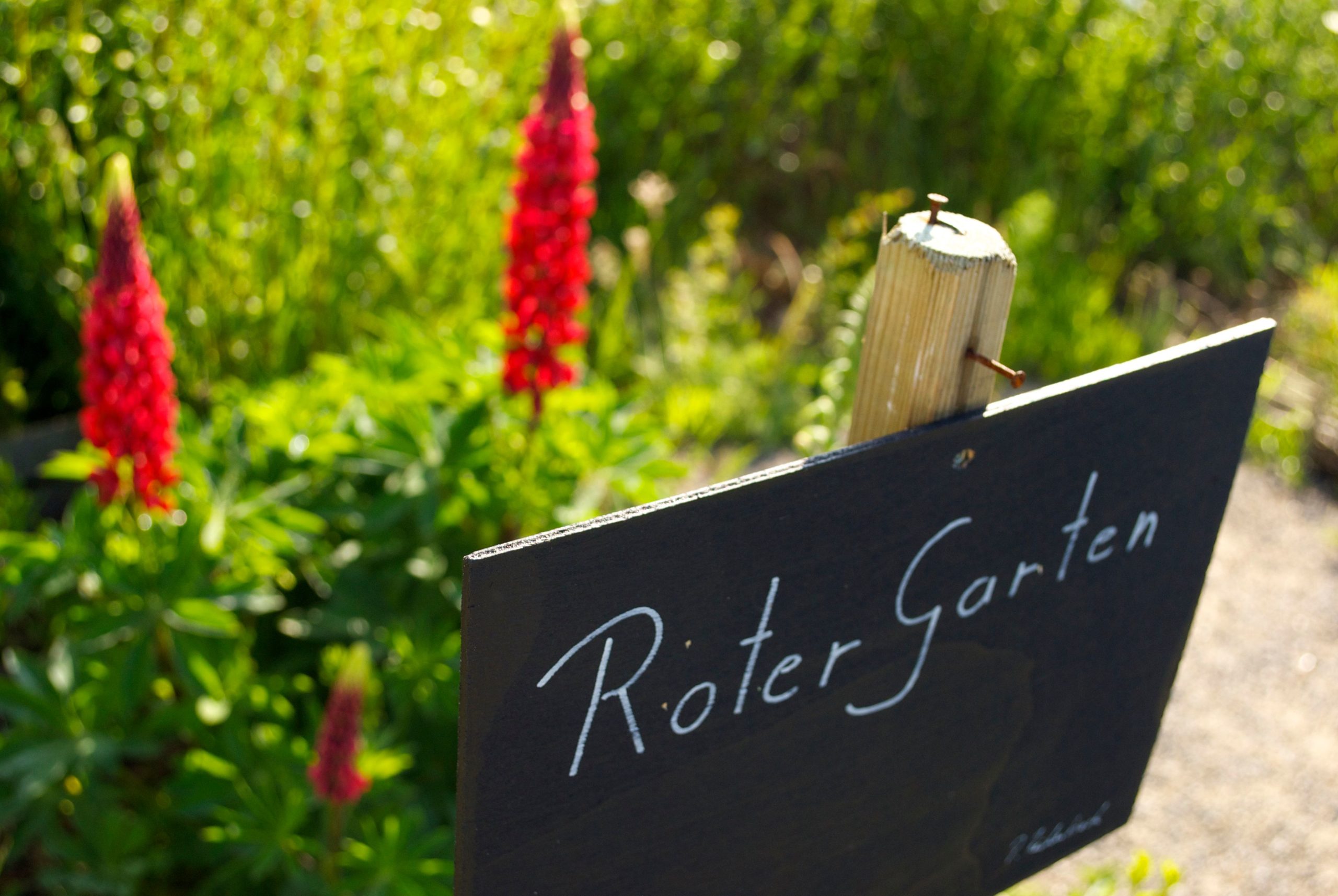 Info und Netzwerkabend sevengardens VERSCHOBEN! Das W